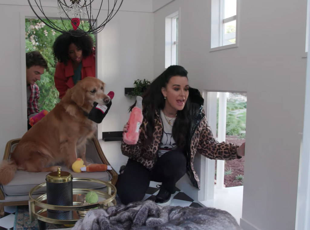 Watch Tyler Cameron Build Kyle Richards an Extravagant Dog House - E